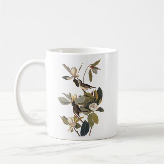 Warbling Flycatcher Kingbird  Audubon Koffiemok (Links)