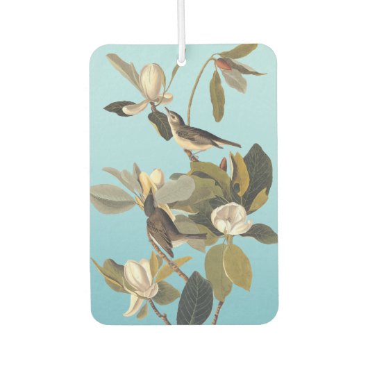 Warbling Flycatcher Kingbird  Audubon Luchtverfrisser (Voorkant)