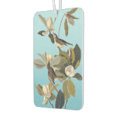 Warbling Flycatcher Kingbird  Audubon Luchtverfrisser (Links)