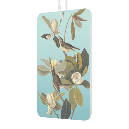 Warbling Flycatcher Kingbird  Audubon Luchtverfrisser (Links)