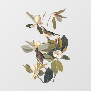 Warbling Flycatcher Kingbird  Audubon Pock Raamsticker