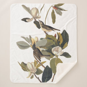 Warbling Flycatcher Kingbird  Audubon Sherpa Deken