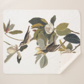 Warbling Flycatcher Kingbird Audubon Sherpa Deken (Voorkant (horizontaal))