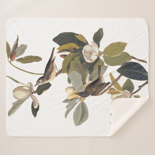 Warbling Flycatcher Kingbird  Audubon Sherpa Deken (Voorkant (horizontaal))