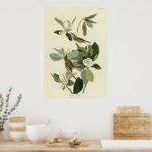 Warbling Flycatcher Poster (Keuken)