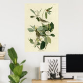 Warbling Flycatcher Poster (Thuiskantoor)