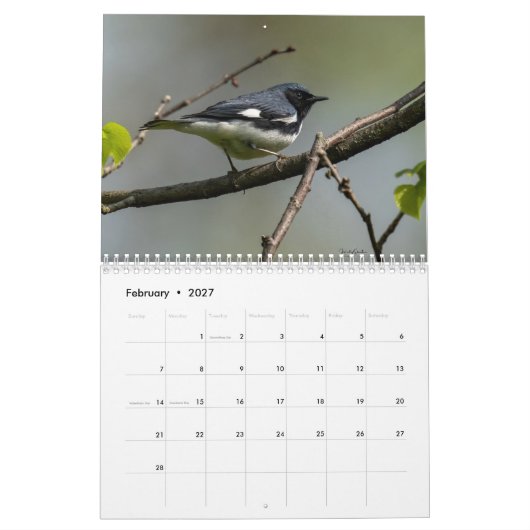 Warbling Through 2026 Kalender (Feb 2027)