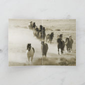 Warbonnet's Pride Wild Horse Wenskaart Kaart (Binnen)