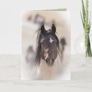 Warbonnet's Pride Wild Horse Wenskaart Kaart