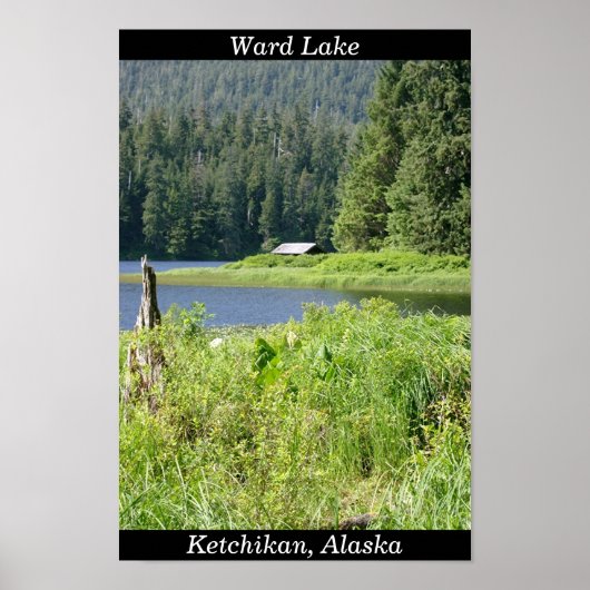 Ward Lake in Ketchikan, Alaska Poster (Voorkant)