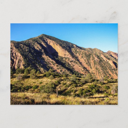 Ward Mountain, Big Bend National Park, Texas Briefkaart (Voorkant)