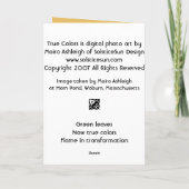 Ware Kleuren Kaart (Achterkant)