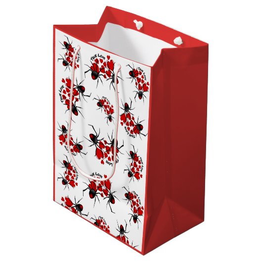 Ware Liefde, Harten en Spinnen Medium Cadeauzakje (Voorkant Gekanteld)