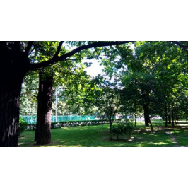 waren DSF Uitnodiging