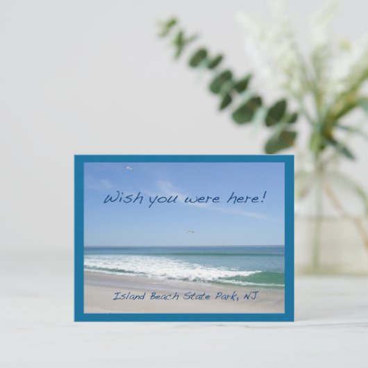 Waren jullie hier het IBSP NJ Gulls Briefkaart (Staand voorkant)