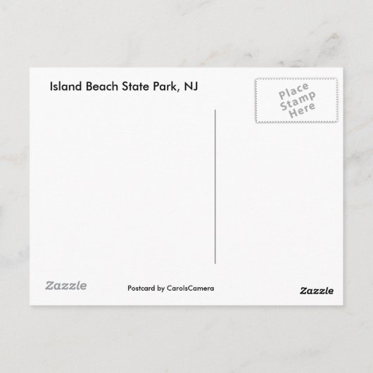 Waren jullie hier het IBSP NJ Gulls Briefkaart (Achterkant)