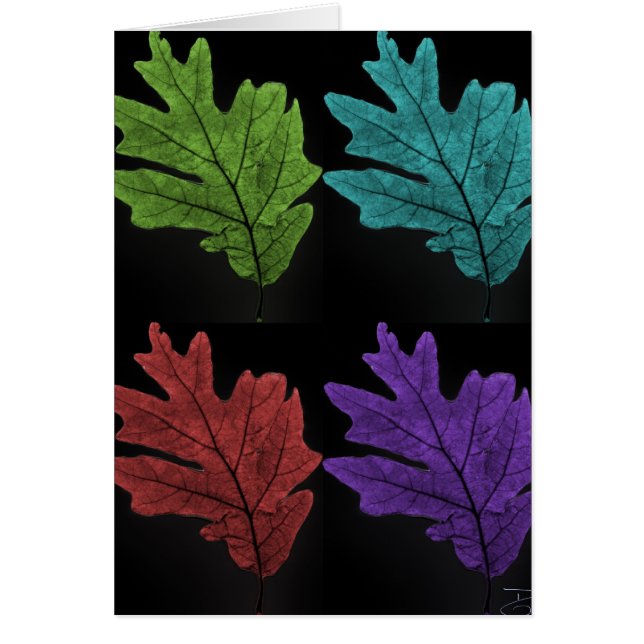 warholesque leaf (Voorkant)