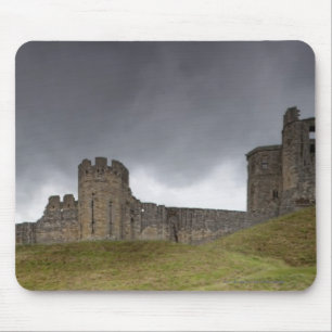Warkworth Castle Muismat