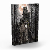 Warlock man witch haunted house fantasy dark art fotoblokken (Links)