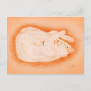 Warm als een Firefly Briefkaart