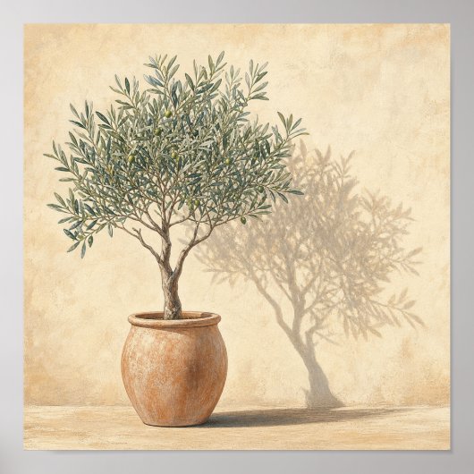 Warm Boom Oliveboom Botanisch Vierkant Wandkunst P Poster (Voorkant)