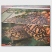 Warm Earth-Tone Turtle Wrapping Paper Cadeaupapier (Vlak)