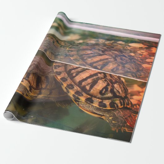 Warm Earth-Tone Turtle Wrapping Paper Cadeaupapier (Uitgerold)