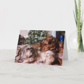 Warm- en Fuzzy-Feestdagen - Cute Dog-kaart Feestdagen Kaart (Voorkant)