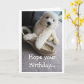 Warm Fuzzy Birthday, Cute Goldendoedle pup Humor Kaart (Gele Bloem)