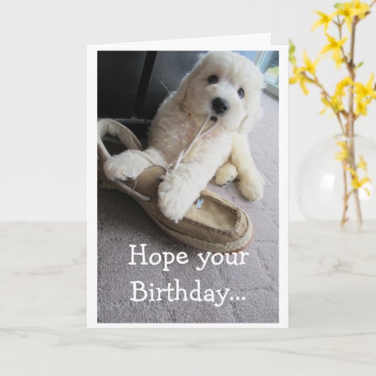 Warm Fuzzy Birthday, Cute Goldendoedle pup Humor Kaart (Gele Bloem)