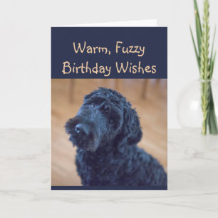 Warm, Fuzzy Birthday Wishes Cute Black Dog Kaart