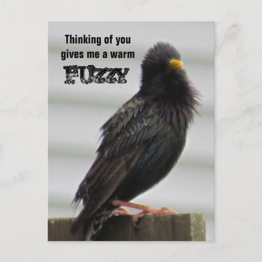 Warm Fuzzy - denken aan jou Briefkaart (Voorkant)