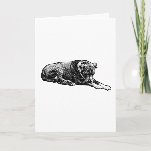 Warm Gaze Dog Kaart (Voorkant)