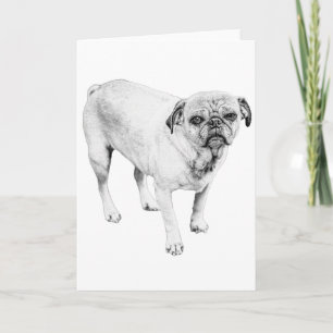 Warm Gegluste Hond Deelt Hartelijke Glimlach En Li Kaart