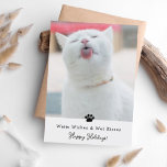 Warm-gewas en nat Kisses-Wenskaart Feestdagen Kaart<br><div class="desc">Stuur deze vakantie een beetje liefde met deze schattige,  "Warm wil en natte kussen" kattenfotokaarten!</div>