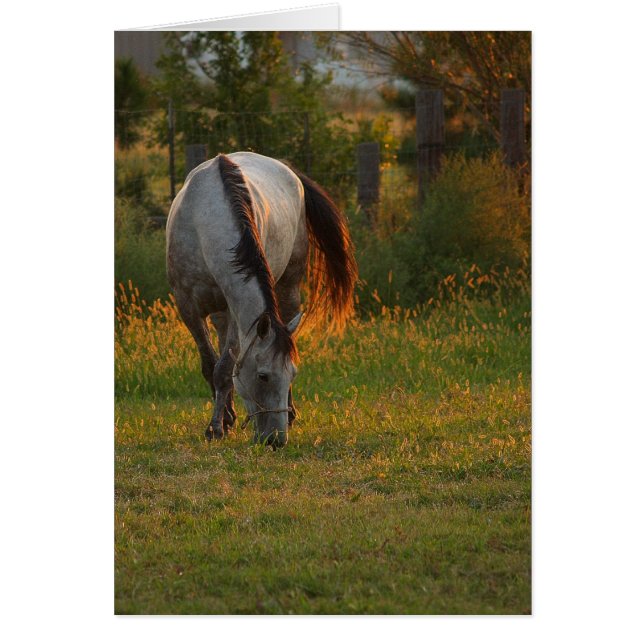 Warm Glow (Voorkant)