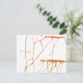 Warm Jelly Fish Briefkaart (Staand voorkant)