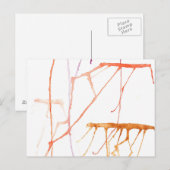 Warm Jelly Fish Briefkaart (Voorkant / Achterkant)