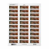Warm Natuur schildpadden adreslabel Etiket (Full Sheet)