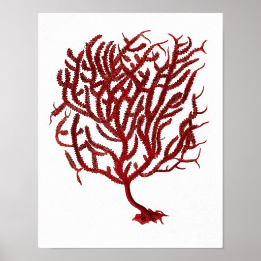 Warm Red Zee Coral no.11 Beach Wall Art Afdrukken Poster (Voorkant)