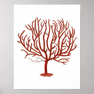 Warm Red Zee Coral no.4 Beach Wall Art Afdrukken Poster