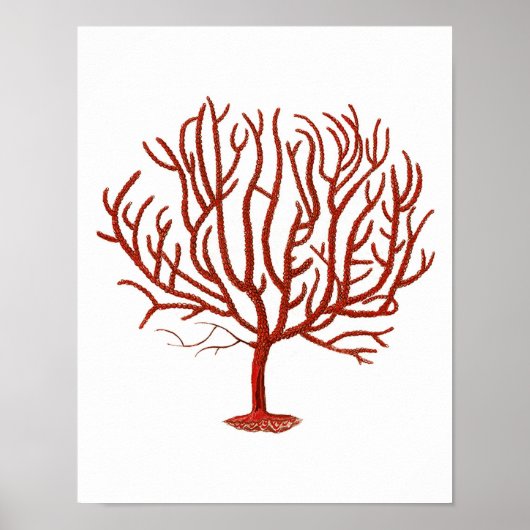 Warm Red Zee Coral no.4 Beach Wall Art Afdrukken Poster (Voorkant)