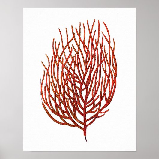 Warm Red Zee Coral no.9 Beach Wall Art Afdrukken Poster (Voorkant)