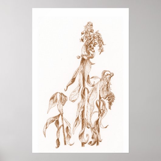 Warm Seasonal Botanical Ink Art Elegant Wall Poster (Voorkant)