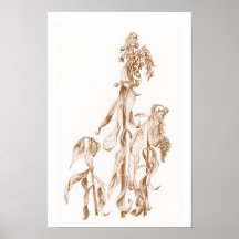 Warm Seasonal Botanical Ink Art Elegant Wall 
