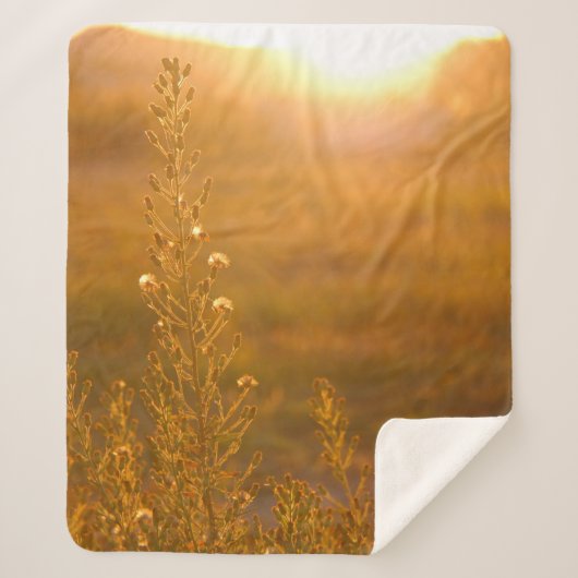 WARM SHOT OF MEADOW GRASS SHERPA DEKEN (Voorkant)