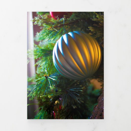 Warm Silver Drieluik Aankondiging (Cover)