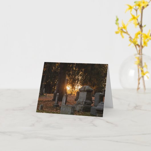 Warm Sunset Kaart (Gele Bloem)