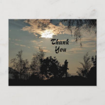 Warm Sunset Scenery Trees Dank u Briefkaart