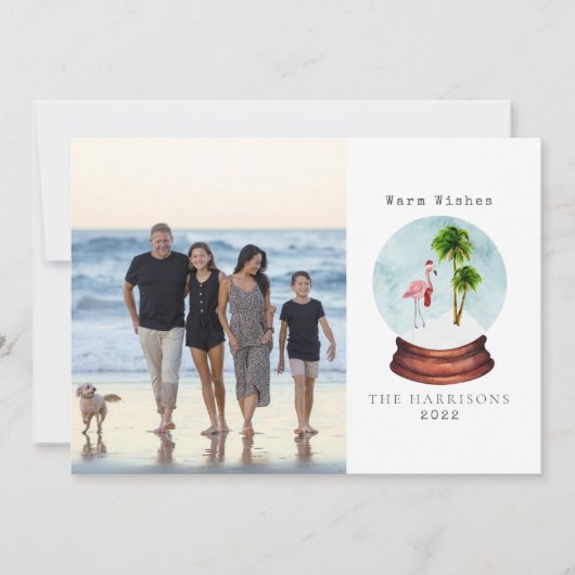 Warm Wishes Flamingo Snow Wereldbol Kerstmis Foto Feestdagenkaart (Voorkant)